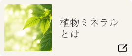 植物ミネラルとは